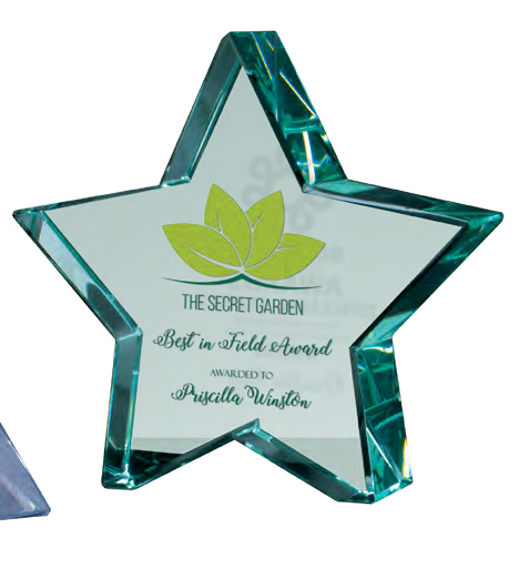 Award product – catalogue page 545