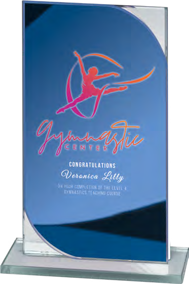 Award product – catalogue page 551