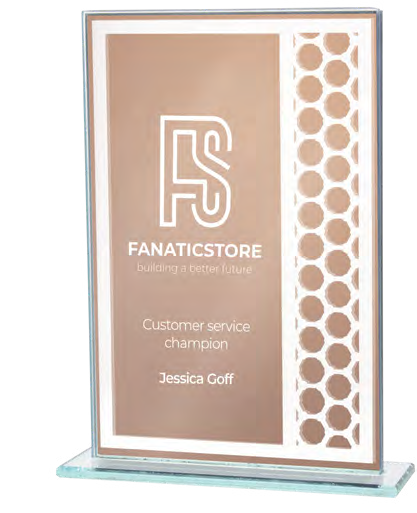 Award product – catalogue page 553