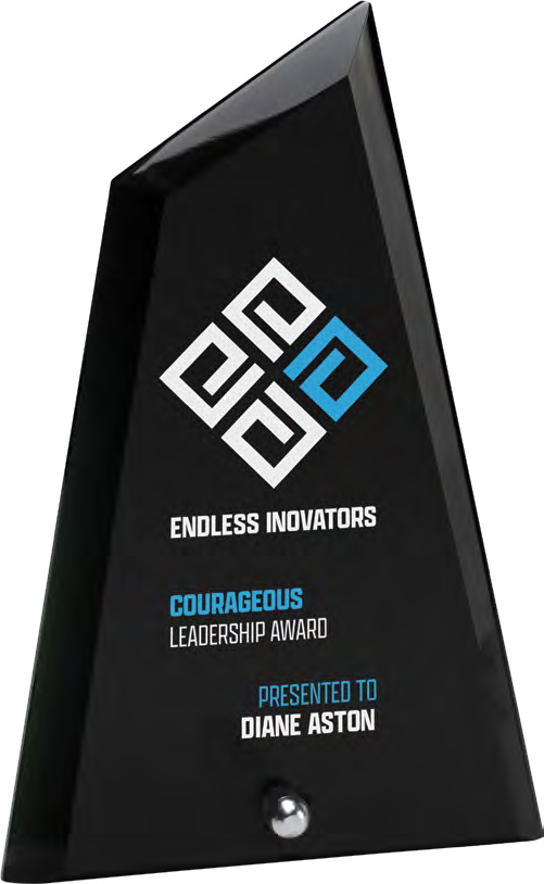 Award product – catalogue page 560