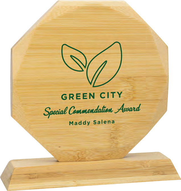 Award product – catalogue page 570