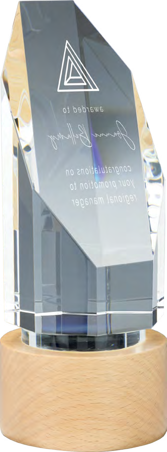 Award product – catalogue page 577
