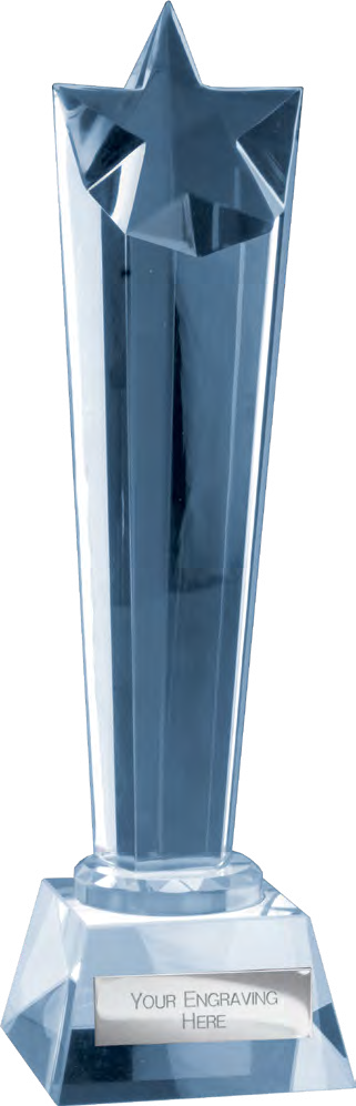 Award product – catalogue page 584