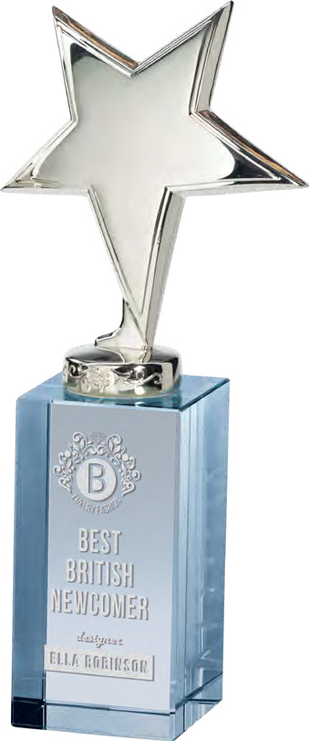 Award product – catalogue page 585