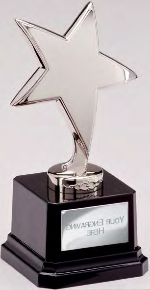 Award product – catalogue page 587