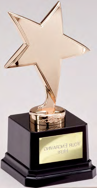 Award product – catalogue page 587