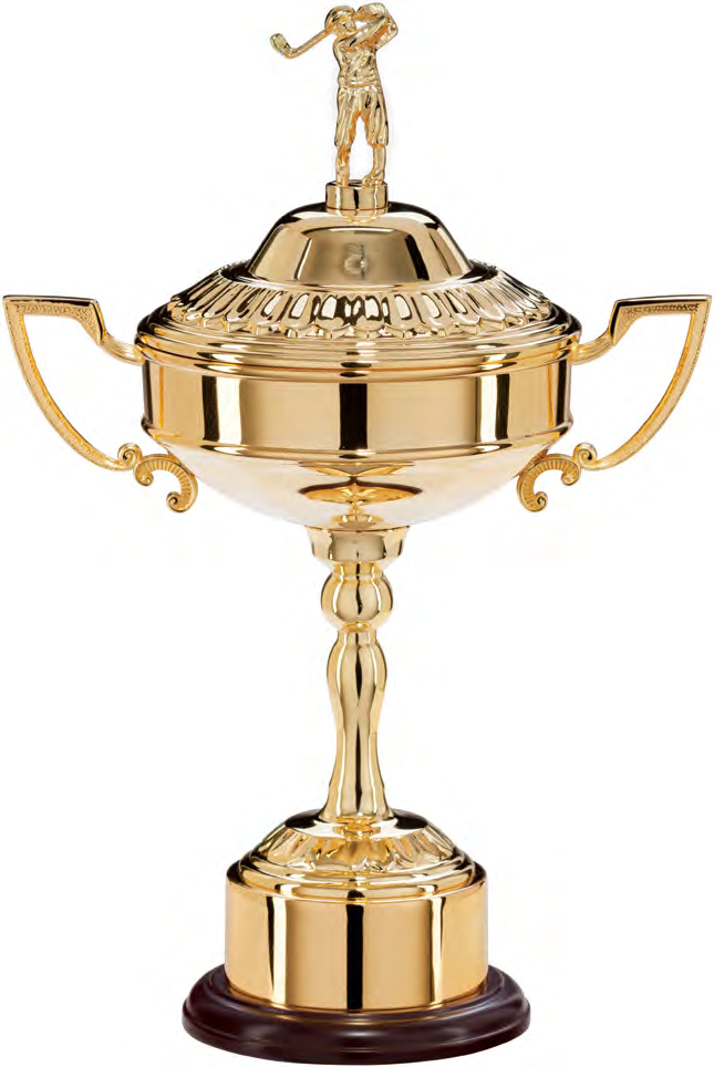 Award product – catalogue page 596
