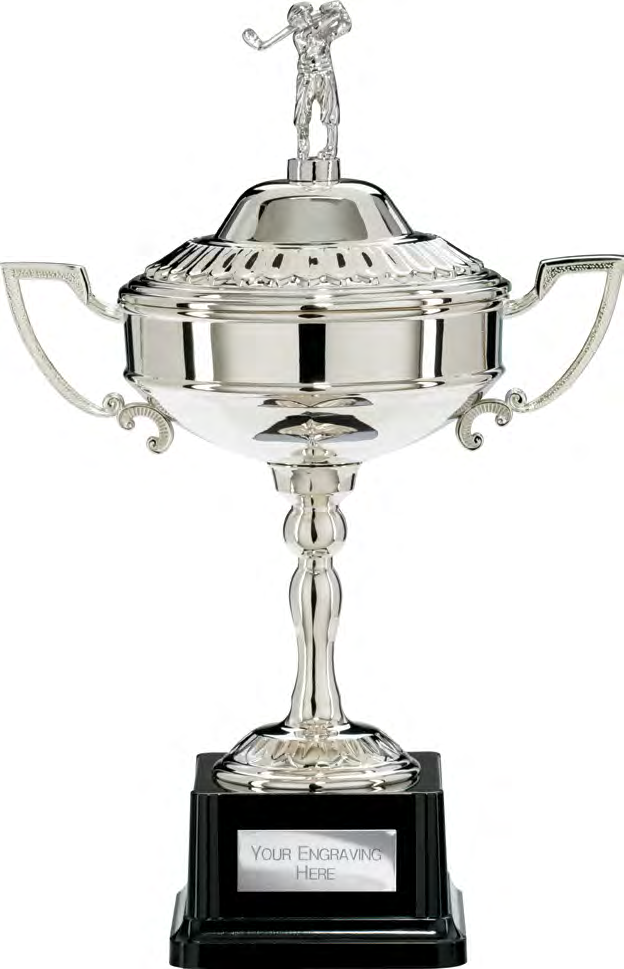 Award product – catalogue page 596