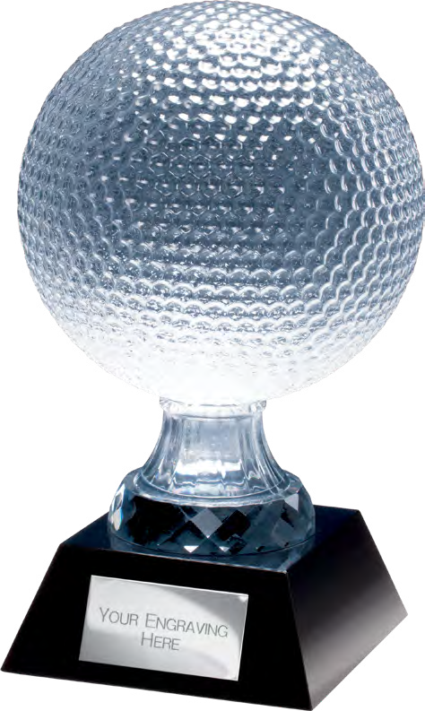 Award product – catalogue page 599