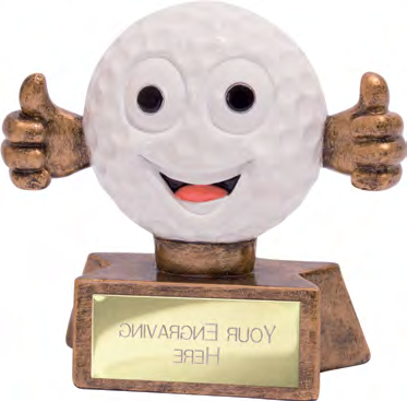 Award product – catalogue page 618