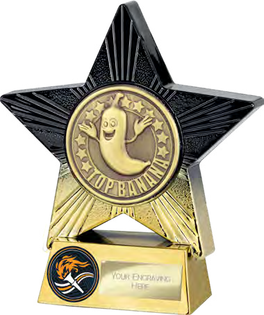 Award product – catalogue page 619