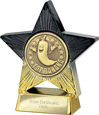 Award product – catalogue page 619