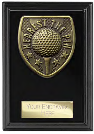 Award product – catalogue page 622