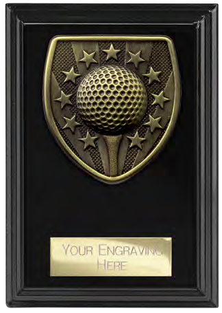 Award product – catalogue page 622