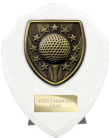 Award product – catalogue page 622