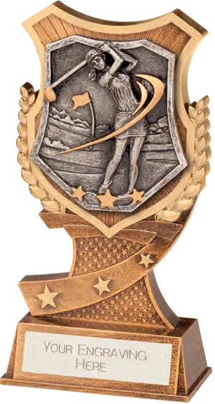 Award product – catalogue page 629