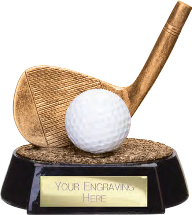 Award product – catalogue page 629